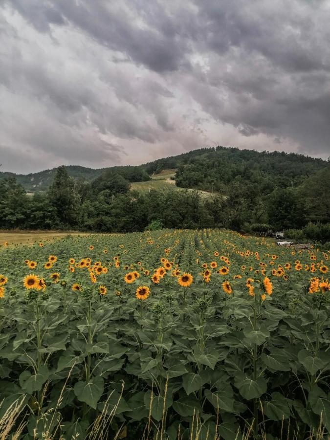 San Sebastiano CuroneNickland别墅 外观 照片